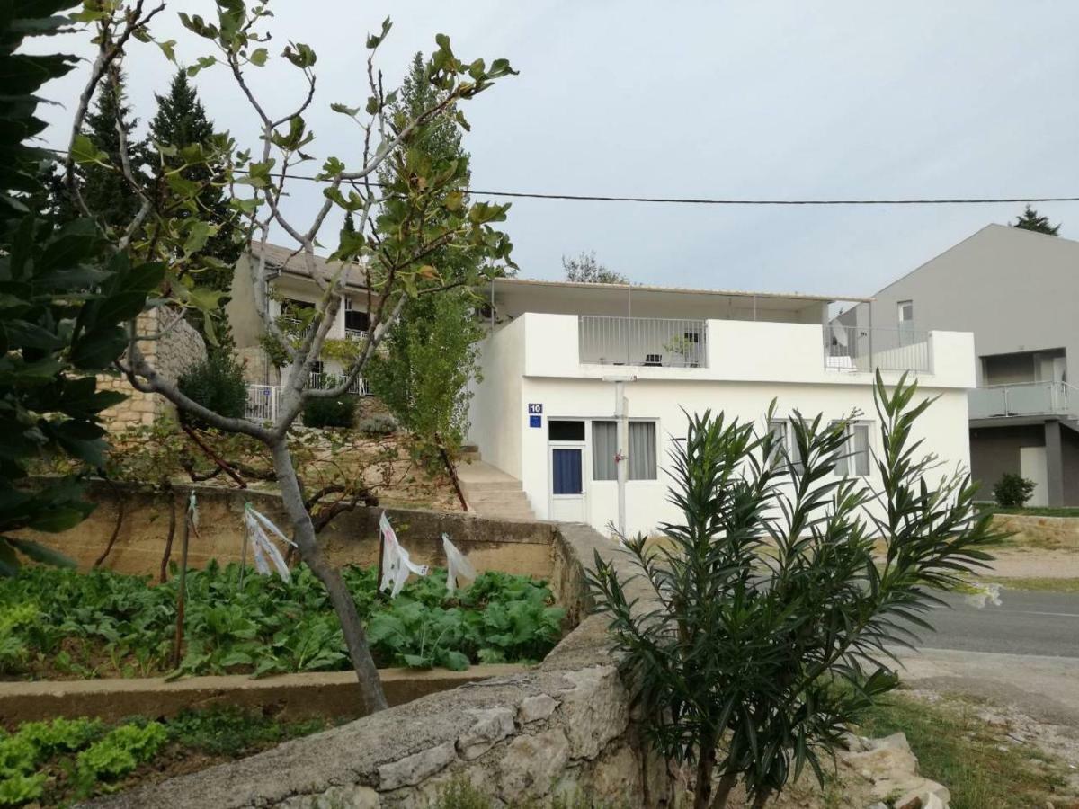 House Zara Villa Maslenica Buitenkant foto